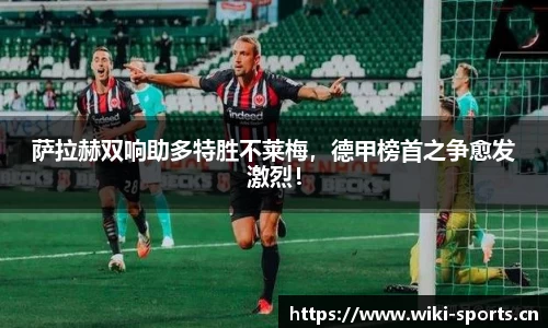 维基体育