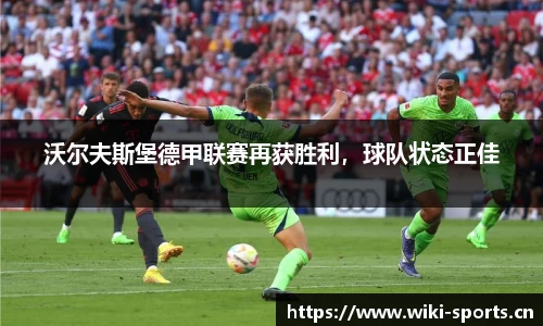 维基体育