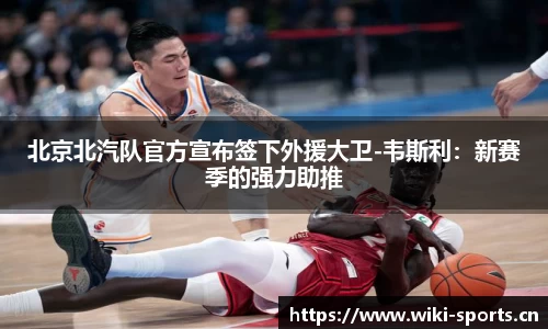 维基体育