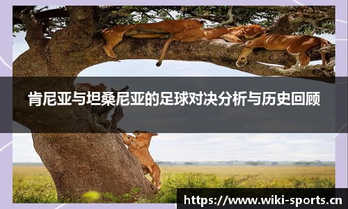 肯尼亚与坦桑尼亚的足球对决分析与历史回顾
