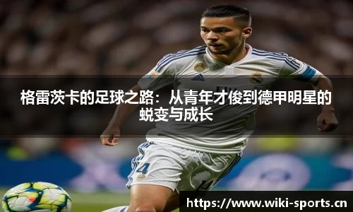 维基体育官方网站